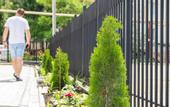 Туры в отель Domus More Guest House