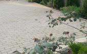 Туры в отель FamilyStories Guest House