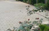Туры в отель FamilyStories Guest House