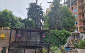 Туры в отель Slon Mini Hotel