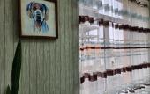 Туры в отель Slon Mini Hotel