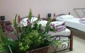Туры в отель Slon Mini Hotel