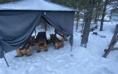 Туры в отель Stodorog Hotel
