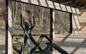Туры в отель Guest house Umaya