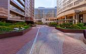 Туры в отель Sutki Rent U Nevy S Terrasoy Apartments