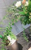 Туры в отель Sincere Residence Changfeng
