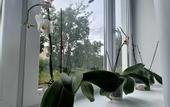 Туры в отель Na Tolstikova Flat
