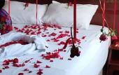 Туры в отель El-Ruha Otel