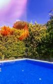 Туры в отель Alacat? Otel Rebetiko