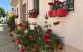 Туры в отель Biz Otel
