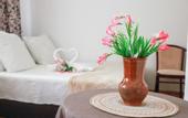 Туры в отель Maxrooms u Plesa