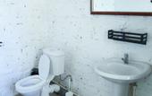 Туры в отель Maxrooms u Plesa