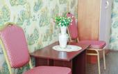 Туры в отель Maxrooms u Plesa