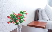 Туры в отель Maxrooms u Plesa