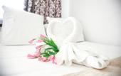 Туры в отель Maxrooms u Plesa