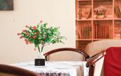 Туры в отель Maxrooms u Plesa