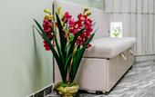 Туры в отель Lider Hotel