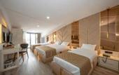 Туры в отель Luxury Airport Hotel by Zazzoni