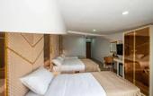 Туры в отель Luxury Airport Hotel by Zazzoni