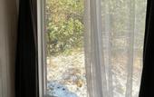 Туры в отель Yeti Na Komete Recreation camp
