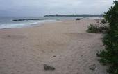 Туры в отель Beach Lagoon Guesthouse