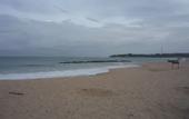 Туры в отель Beach Lagoon Guesthouse