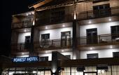 Туры в отель Forest1961 Boutique Hotel & Restaurant Butik-Hotel