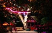 Туры в отель Hotel Gipsy Village