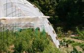 Туры в отель Hotel Gipsy Village