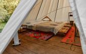 Туры в отель Hotel Gipsy Village