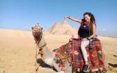 Туры в отель Sphinx Palace Guest House