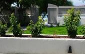 Туры в отель Icon Beach Suites Hotel