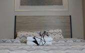 Туры в отель Solo Suites Hotel