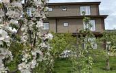 Туры в отель Mountain View Villa
