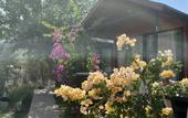 Туры в отель Marimare Beach & Bungalow Bungalow