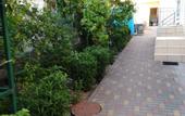 Туры в отель Semyya Guest house