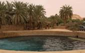 Туры в отель Al-Manara Hostel Siwa Oasis