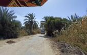 Туры в отель Al-Manara Hostel Siwa Oasis