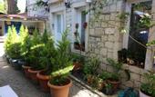 Туры в отель Galya Otel Alacati