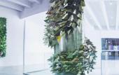 Туры в отель Green Sun Hotel