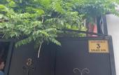 Туры в отель Mimino T&G Hotel