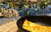 Туры в отель Eco Nubia Ecolodge