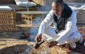 Туры в отель Eco Nubia Ecolodge