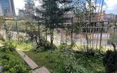 Туры в отель Near Suites