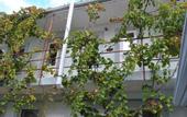 Туры в отель Na Kolkhoznoy Guest House