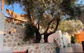 Туры в отель Kalkan Beach Park Hotel