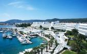 Туры в отель Altin Yunus Resort & Thermal Hotel