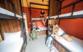 Туры в отель Mad Monkey Hanoi - Hostel