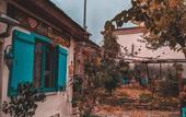 Туры в отель Deniss Pansiyon