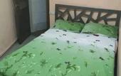 Туры в отель Admiral Isakov Hotel